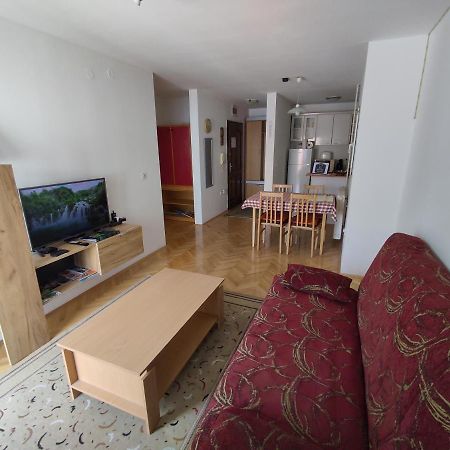 Woody Apartment Novi Sad Luaran gambar