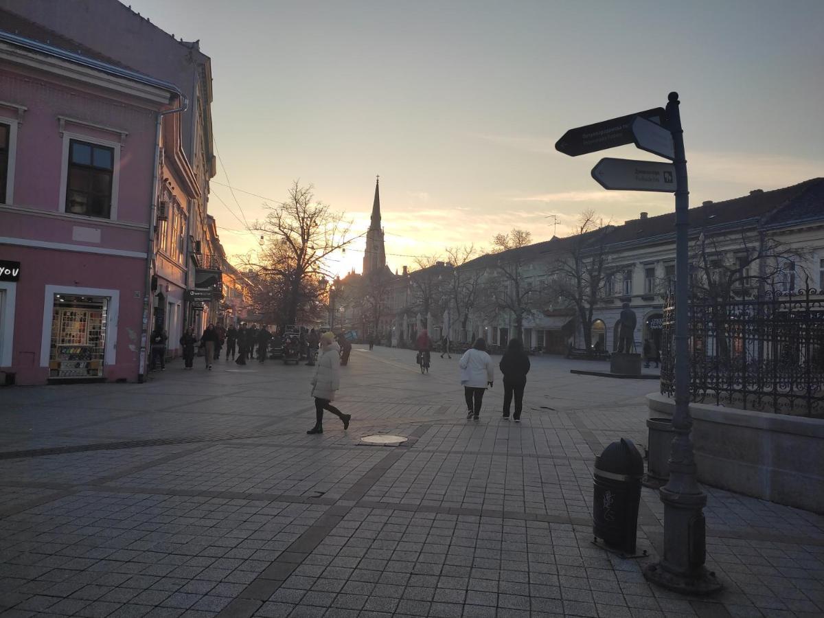 Woody Apartment Novi Sad Luaran gambar