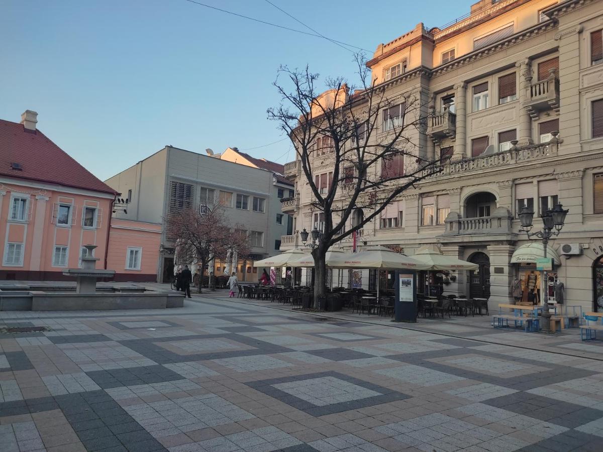 Woody Apartment Novi Sad Luaran gambar