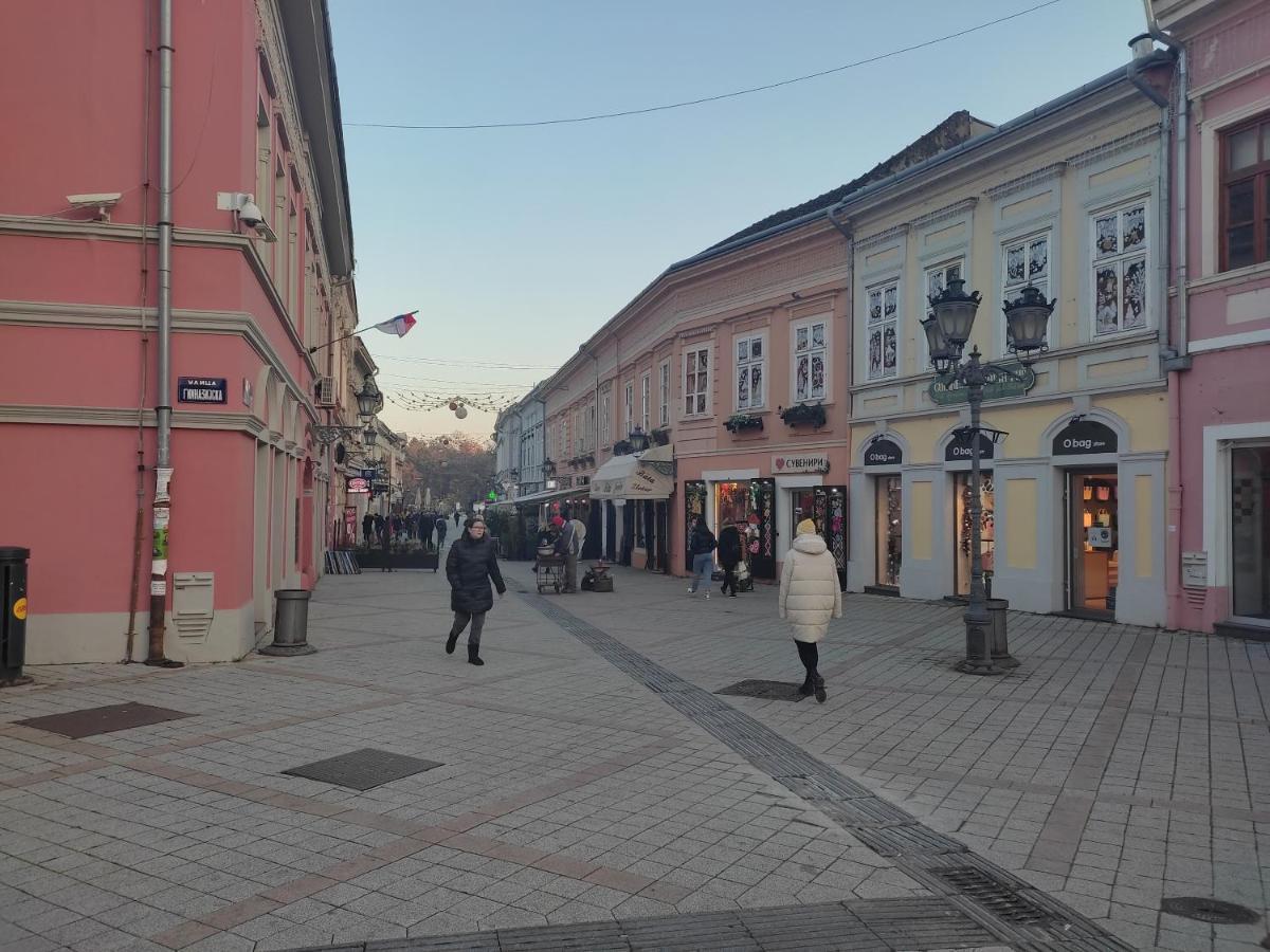 Woody Apartment Novi Sad Luaran gambar