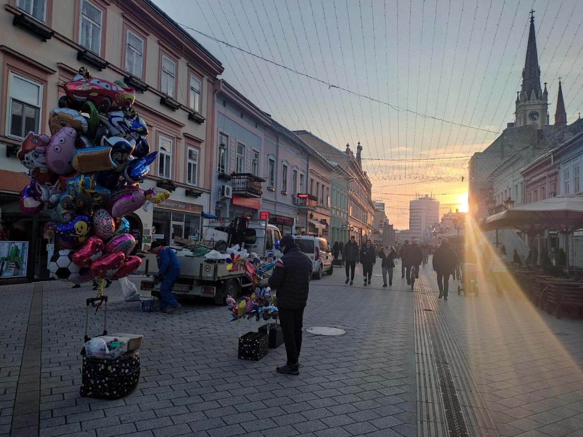 Woody Apartment Novi Sad Luaran gambar
